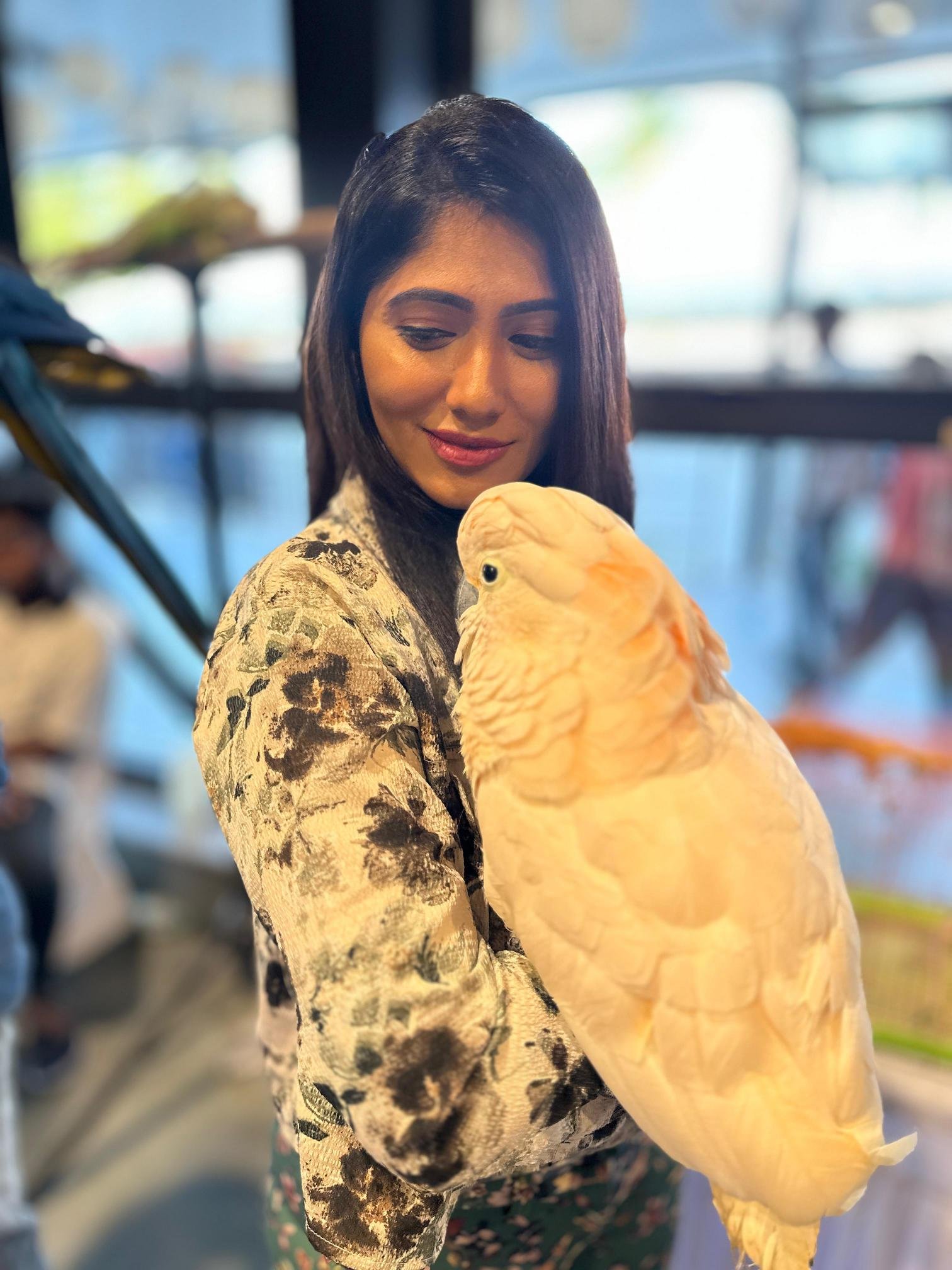 Inside view of best pet shop in Chennai with
dogs and accessories